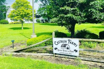 Erie Style #Castalia Farms #4 thumbnail